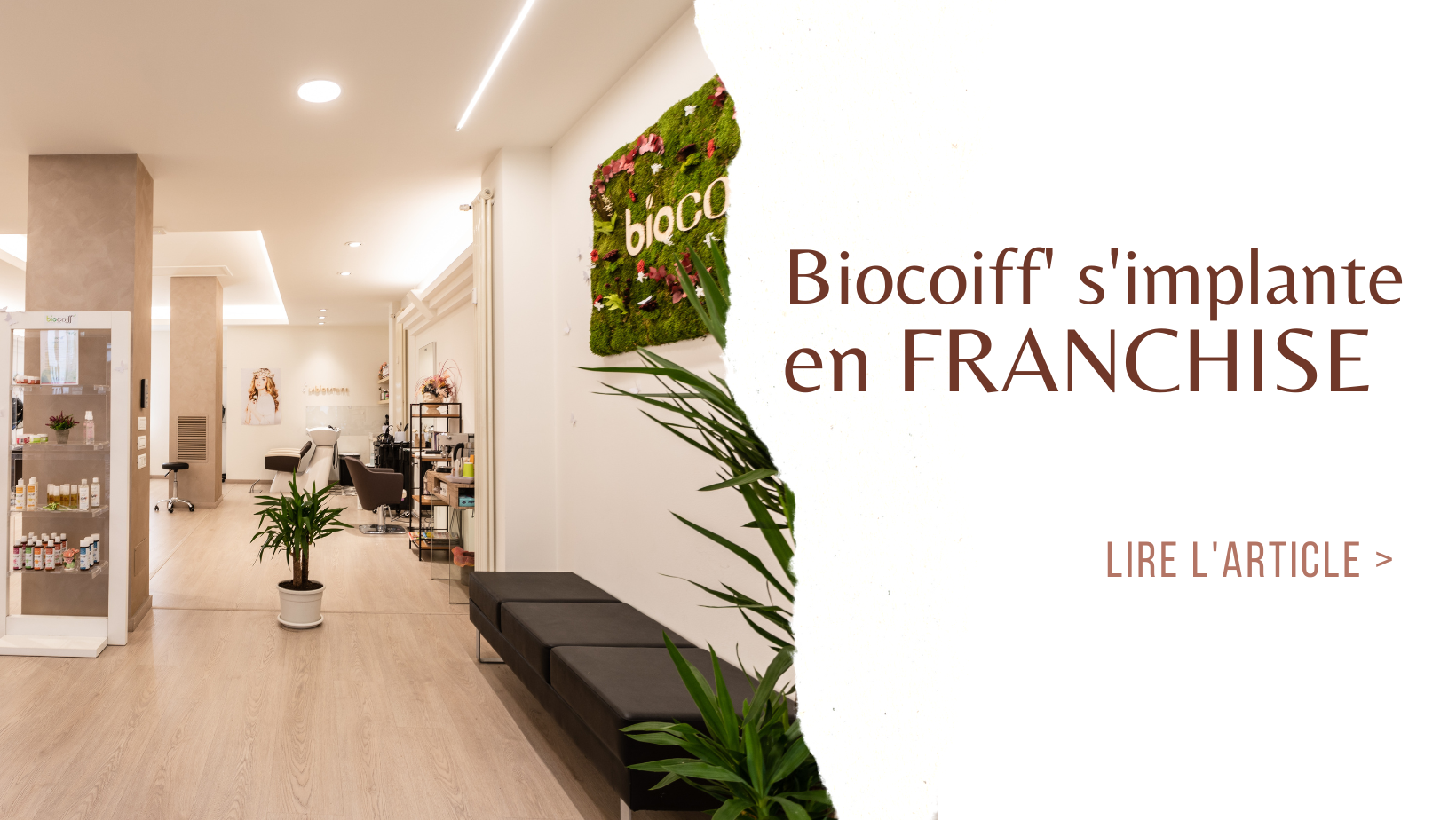 franchise coiffure